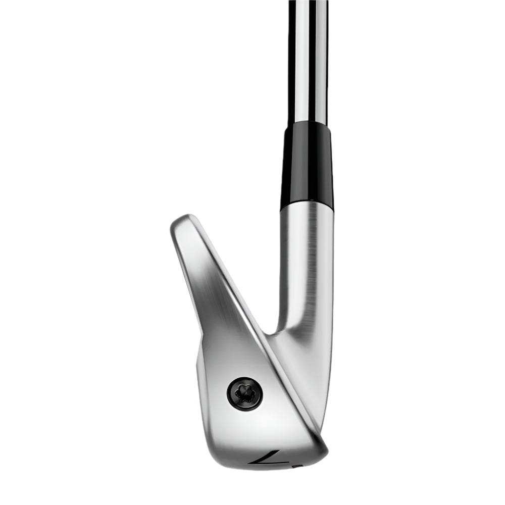 Taylormade P790 irons 2025 - The Golf Guys Online