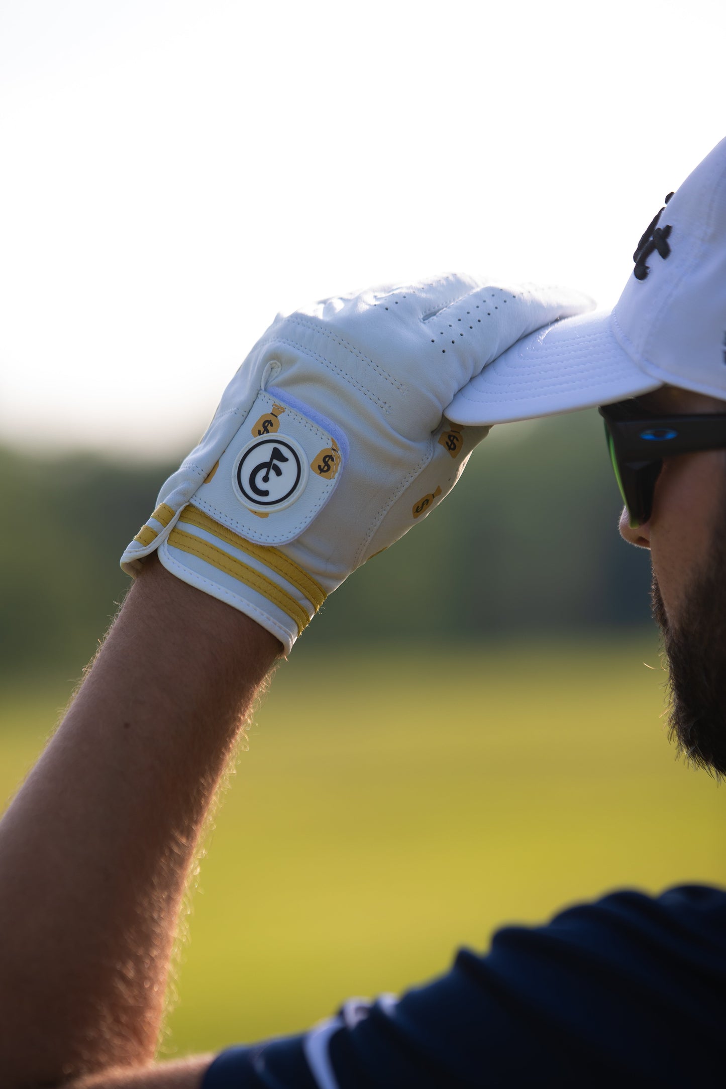 "Money Bags" Golf Glove - The Golf Guys Online