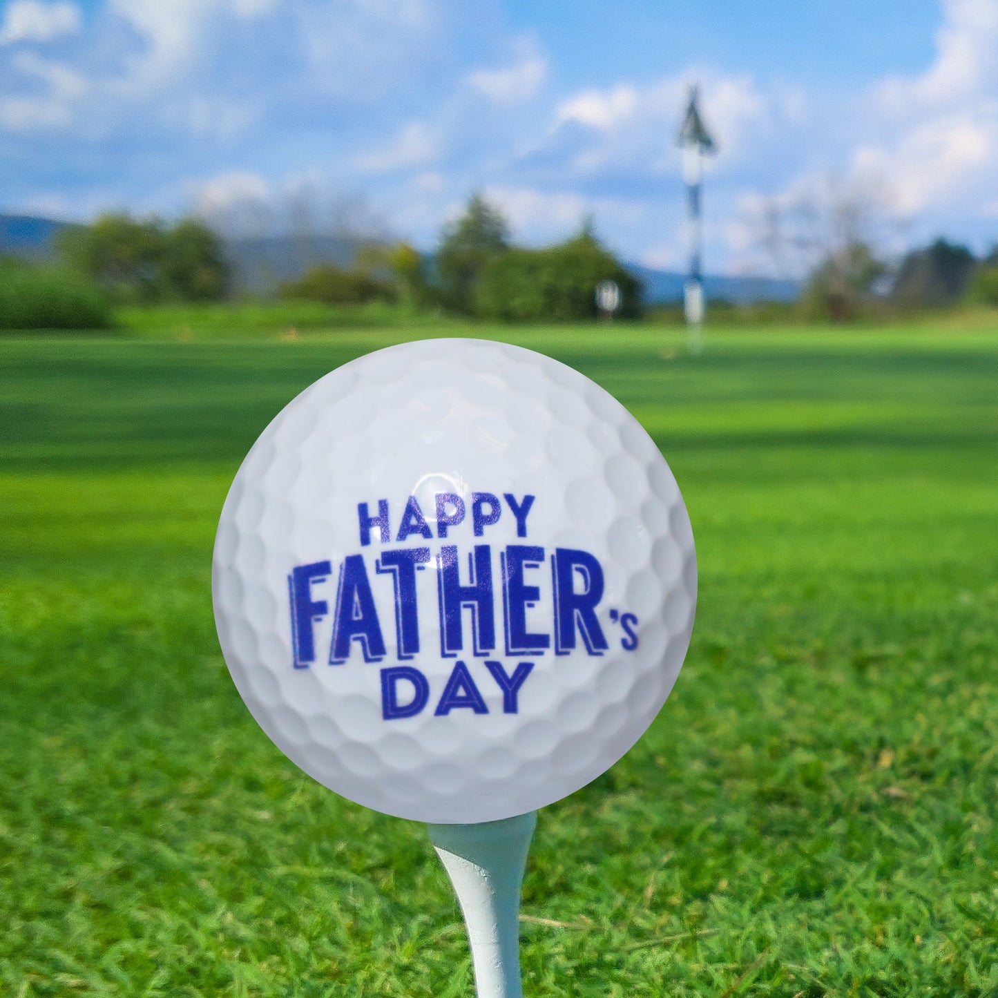 New Novelty Happy Father's Day Golf Balls and Tees Set