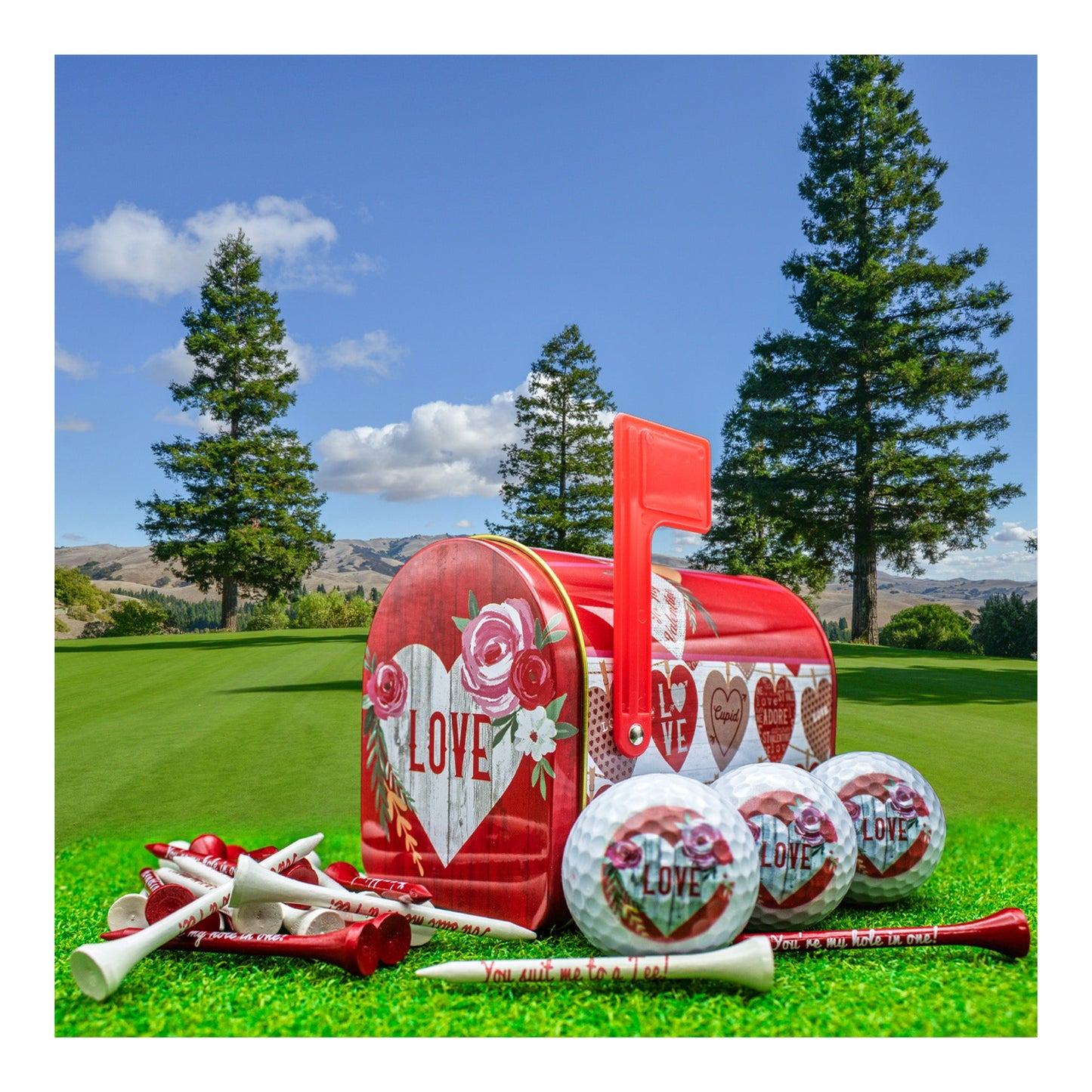 New Novelty Love and Roses Golf Balls and Tee Set
