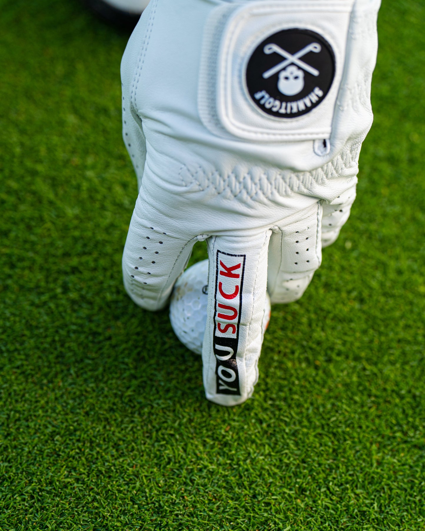 You Suck Golf Glove - The Golf Guys Online