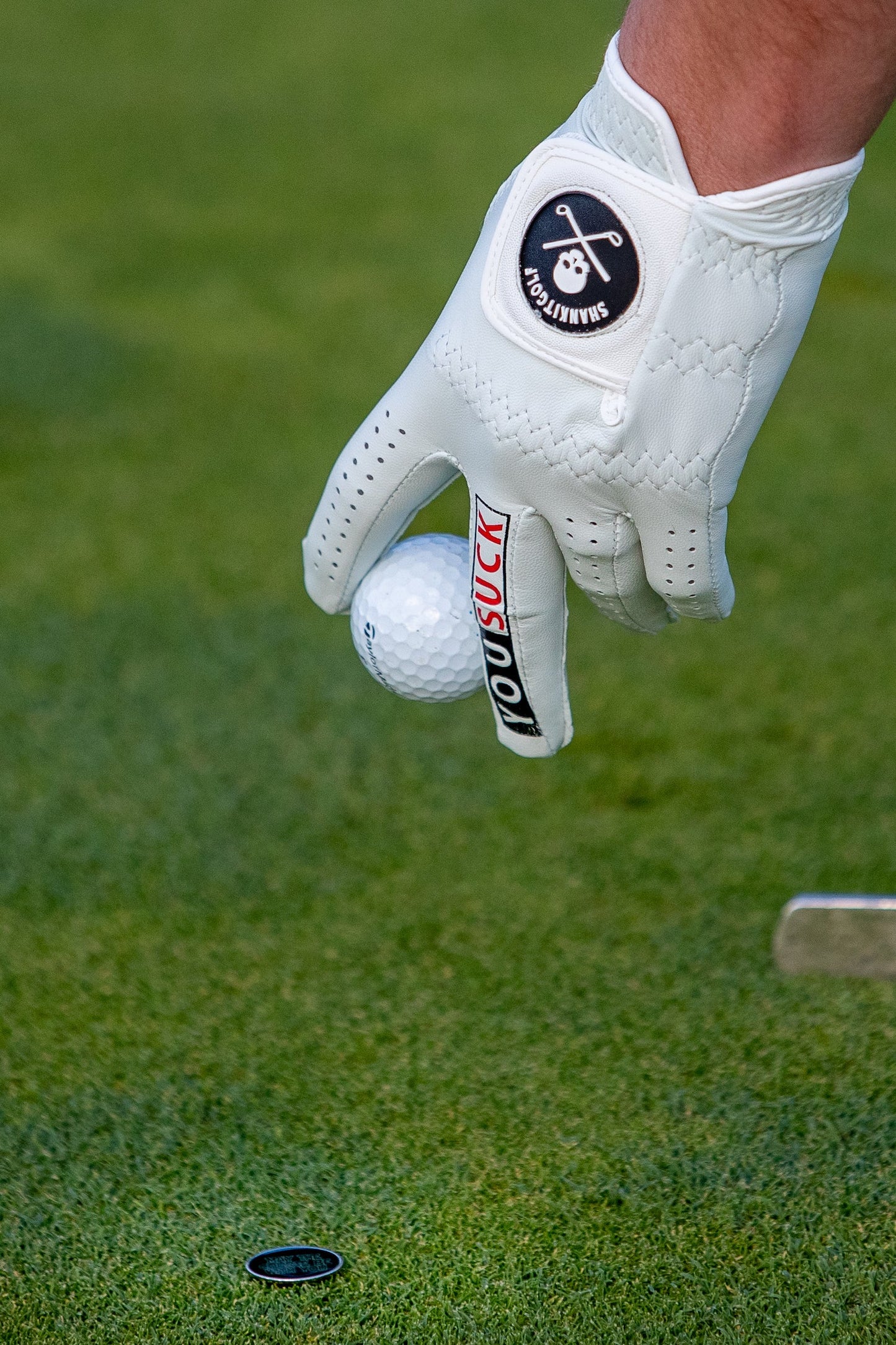 You Suck Golf Glove - The Golf Guys Online