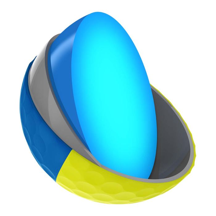 Srixon 2025 Q-Star Tour Divide 2 Brite Yellow/Blue Golf Balls