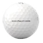 Titleist Pro V1 White 2-Dozen Golf Balls - The Golf Guys Online