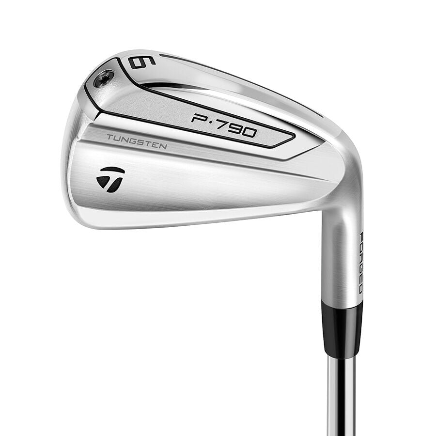 TaylorMade P790 (2019) Custom Irons
