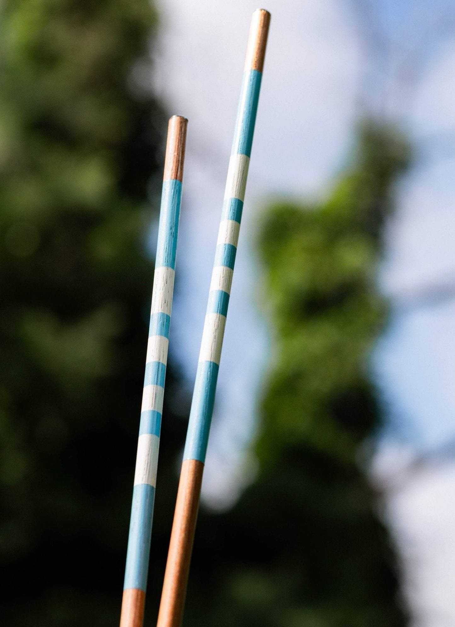 Carolina Blues Alignment Sticks - The Golf Guys Online