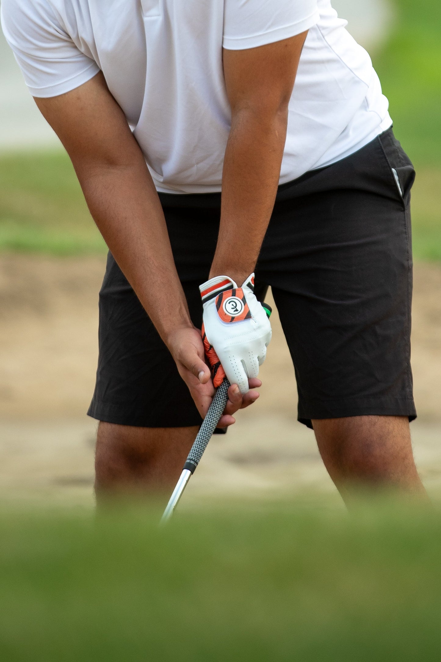 "Tiger" Golf Glove - The Golf Guys Online
