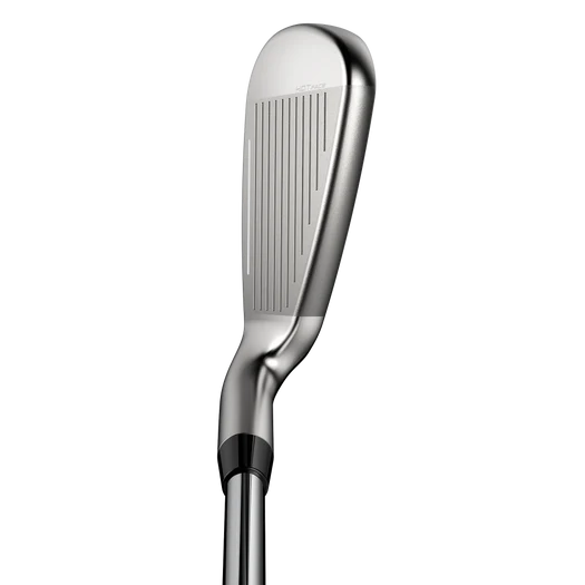 Cobra DS ADAPT MAX Custom Iron Heads