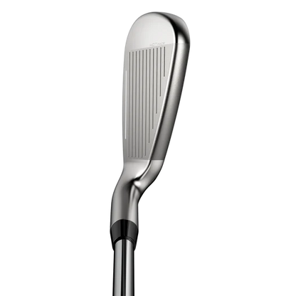 Cobra DS ADAPT MAX Custom Iron Heads