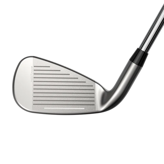 Cobra DS ADAPT MAX Custom Iron Heads
