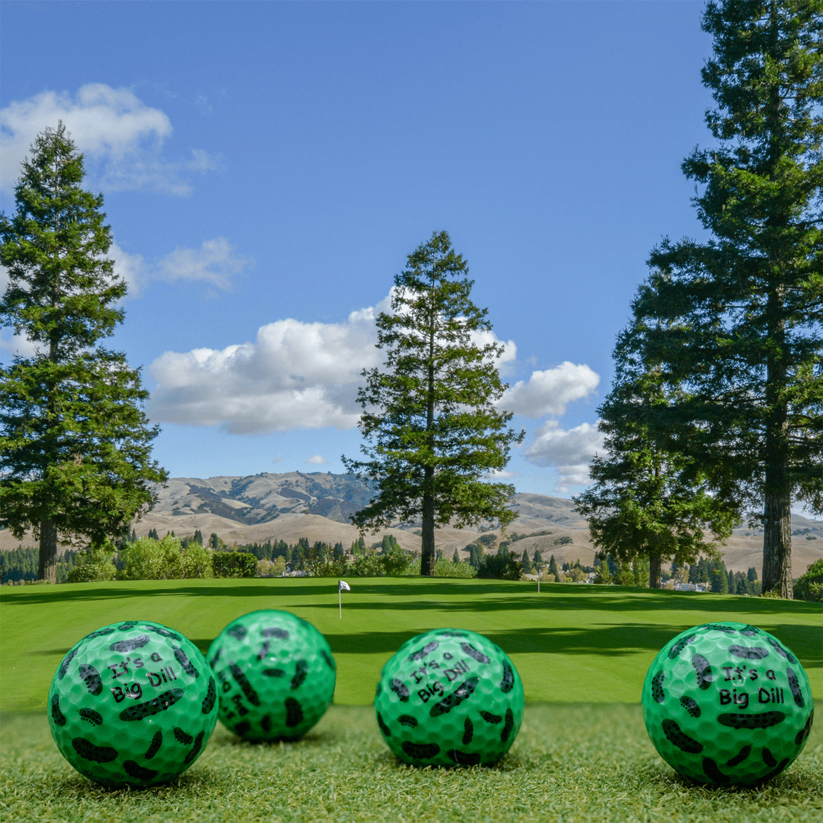 New Novelty It's a Big Dill Golf Balls