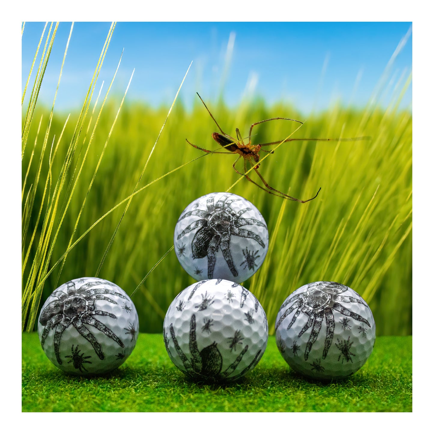 New Novelty Hairy Spider Golf Balls