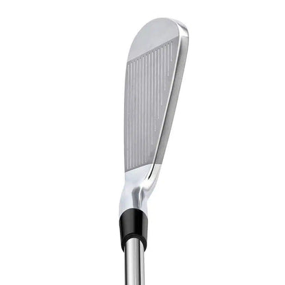 Miura PI-401 2021 Custom Irons