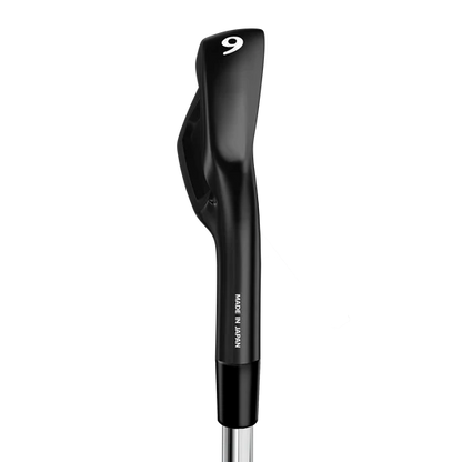 Miura CB-302 QPQ Custom Iron Sets