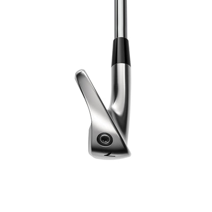 Cobra 2024 King TEC Custom Iron Heads
