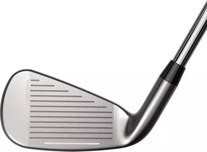 Cobra DS Adapt 2025 Custom Irons