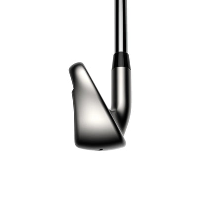 Cobra DS ADAPT MAX Custom Irons Sets