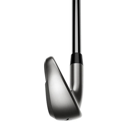 Cobra Darkspeed (2024) Custom Irons