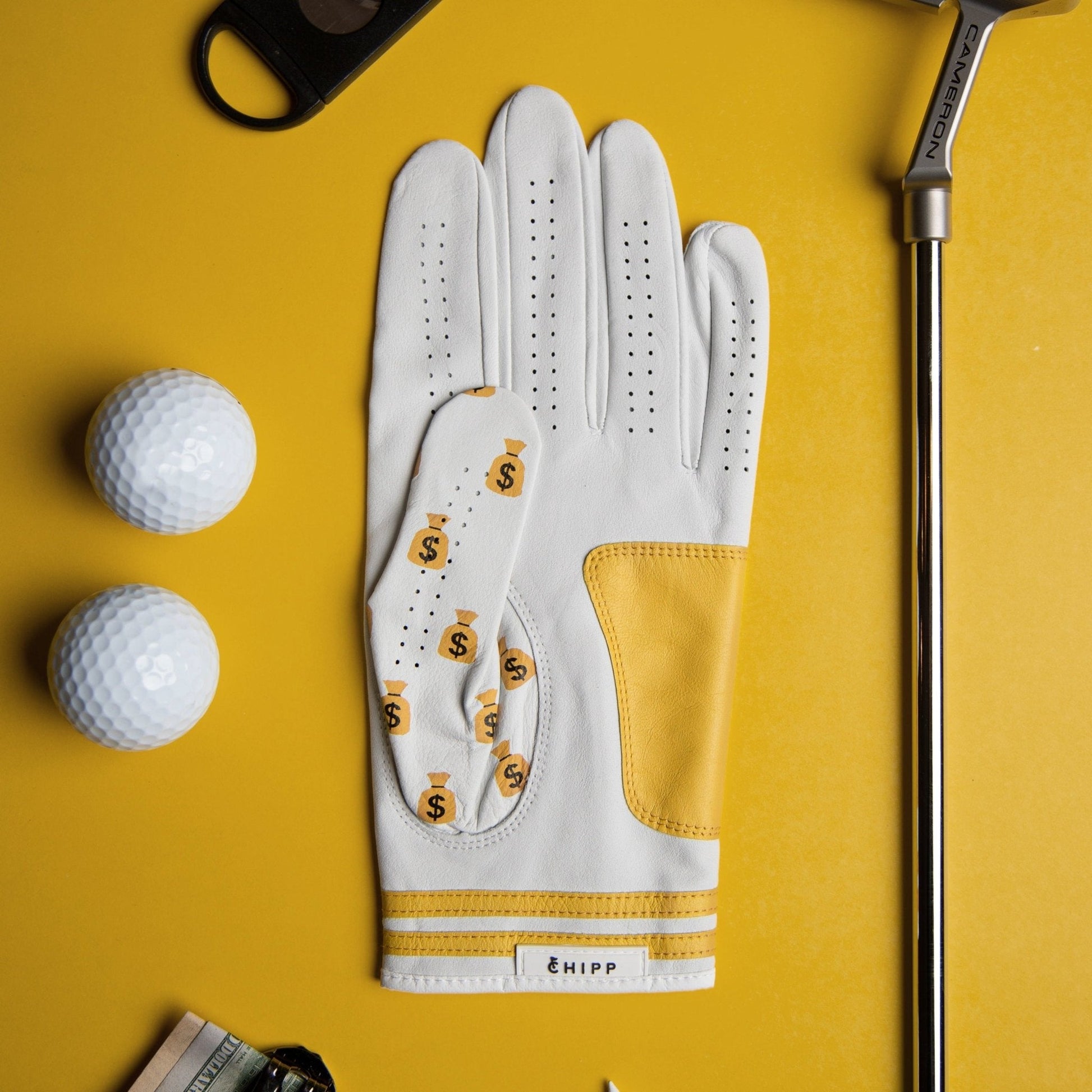"Money Bags" Golf Glove - The Golf Guys Online